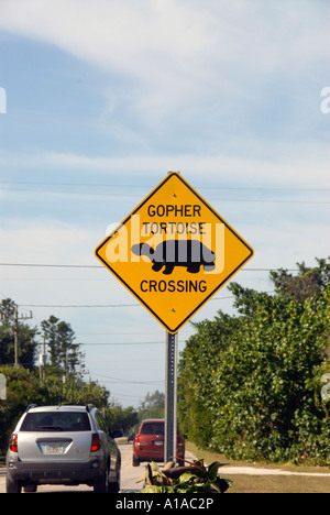 Florida Sanibel Island gopher tortoise sign on highway Stock Photo