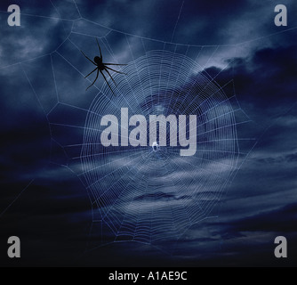 Large spider waiting on edge of web against dark sky Stock Photo
