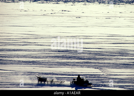 USA Alaska Nome Snowmobile rider speeds along Bering Sea ice at sunset Stock Photo