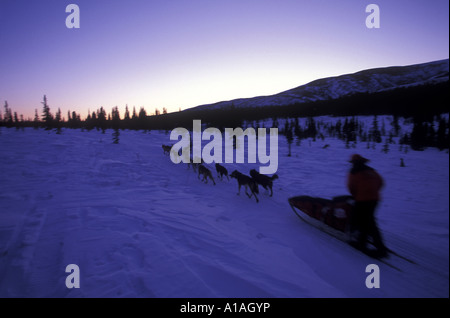 USA Alaska 1998 Iditarod champion Jeff King races through hills near Kaltag at dusk Stock Photo