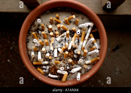 Plant pot used as an ashtray for cigarette butts Stock Photo