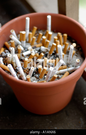 Plant pot used as an ashtray for cigarette butts Stock Photo