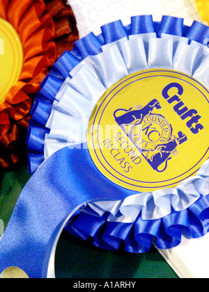A selection of rosettes from Crufts Stock Photo