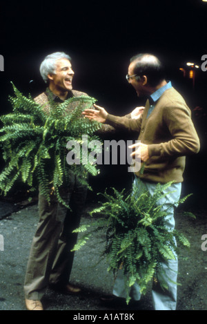 The Lonely Guy Year 1984 Director Arthur Hiller Charles Grodin Steve Martin Stock Photo