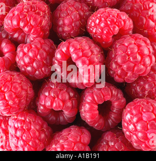 FRESH RASPBERRIES Stock Photo