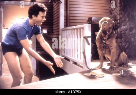 Turner And Hooch Year 1989 Director Roger Spottiswoode Tom Hanks Stock Photo