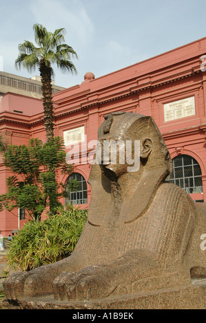 A Sphinx displayed at the courtyard of the Museum of Egyptian Antiquities, known commonly as the Egyptian Museum or Museum of Cairo, in Cairo, Egypt Stock Photo
