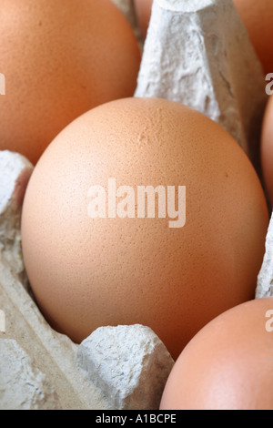 Fresh Eggs Stock Photo