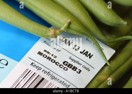 Green beans product of Morocco Stock Photo