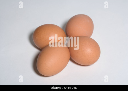 Eggs four hens brown on white background Stock Photo
