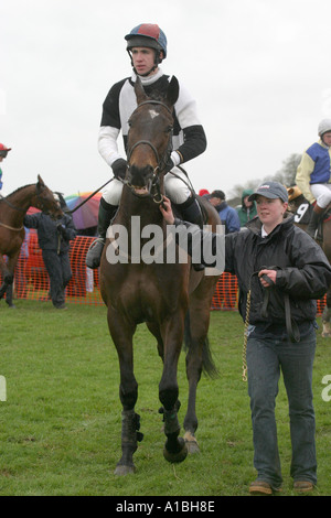 jockey horse and handler in the parade ring at Maralin Point to Point near Moira County Down Northern Ireland Stock Photo