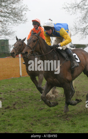 two jockey and horses reach the finish line at Maralin Point to Point near Moira County Down Northern Ireland Stock Photo