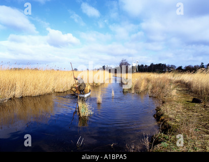 Eric Edwards one of the last Norfolk Mash Men out cutting reed  on the Broads Stock Photo