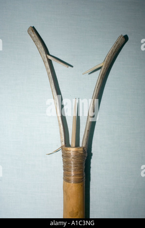 whaling artifacts in the Herschel Island museum off the Mackenzie River delta Yukon Territory Canada Stock Photo