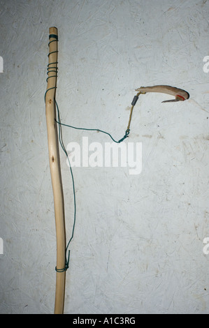 whaling implement in the Herschel Island museum off the Mackenzie River delta Yukon Territory Canada Stock Photo