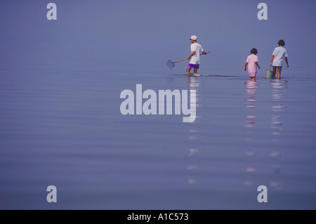 Three children brother and 2 sisters wading in the shallow waters of Rehoboth Bay Delaware on an early foggy summer morning Stock Photo