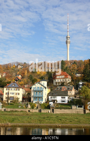 River Elbe floodplains with Dresden's TV-Tower in the background, Germany, Saxony, Dresden Stock Photo