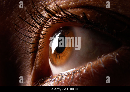 Brown female eye macro Human eye closeup Stock Photo