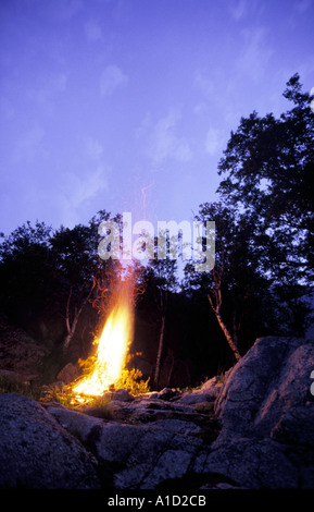Bonfire in the forest Stock Photo - Alamy