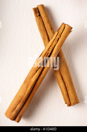 CINNAMON Stock Photo