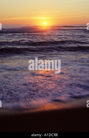 Cape Cod Beach Stock Photo - Alamy