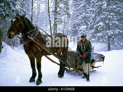 Horse drawn sleigh, Zakopane, Poland Stock Photo - Alamy