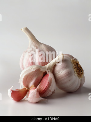 Still life of three garlic cloves one open on a white background Portrait format Original shot on 5x4 trans Stock Photo