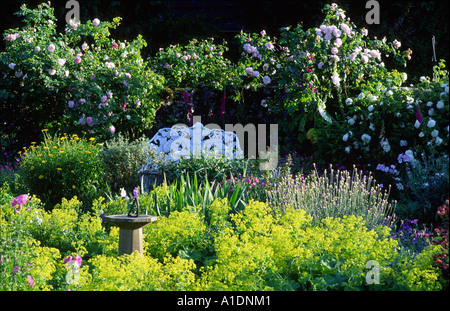 white cast iron garden seat in rose garden Stock Photo