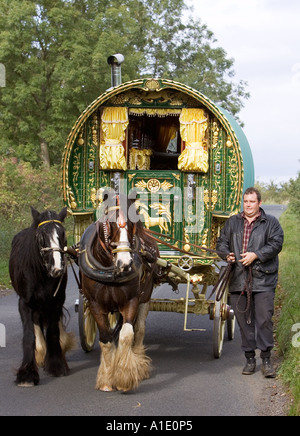 Shire horses pull 100 year old gypsy caravan through country lanes Stow On The Wold Gloucestershire United Kingdom Stock Photo