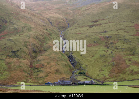 Two hill farms at the base of the Nant Ffrancon Valley in Snowdonia National Park North Wales United Kingdom Stock Photo