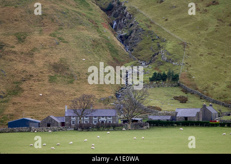 Two hill farms at the base of the Nant Ffrancon Valley in Snowdonia National Park North Wales United Kingdom Stock Photo