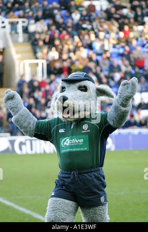 London Irish Rugby Club mascot Digger at The Madejski Stadium, Reading. Stock Photo