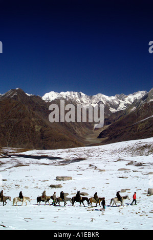 Caravan of horses and men walking on snow in Rohtang pass, Indian Himalaya mountains Stock Photo