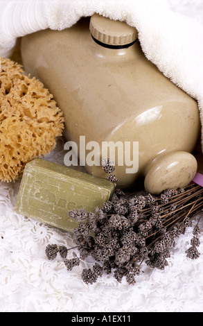 Still life of a large sponge with water and soapsuds on a slate table Stock  Photo - Alamy