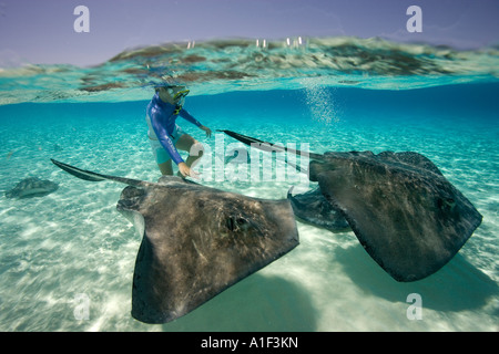 A TEENAGE GIRL PETS A SOUTHERN STINGRAY DASYATIS AMERICANA AT STINGRAY CITY GRAND CAYMAN Stock Photo