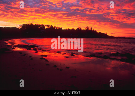 Red orange purple glowing clouds in sunset colors reflections over Penguin beach, Australia Stock Photo