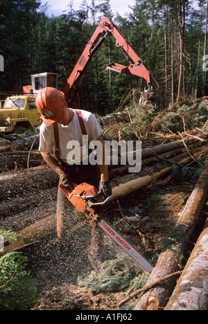 A logger using a chainsaw in a logging competition cutting against ...