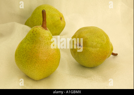 Harvested 'Bartlett'  Pears Stock Photo