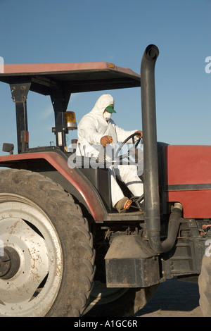 Tractor operator wearing protective clothing, watermelon harvest, California Stock Photo