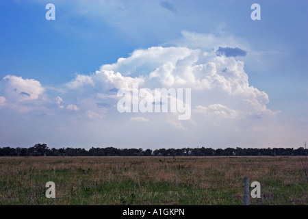 Thunderheads in the distance over Nebraska field USA Stock Photo