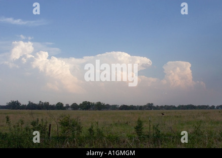 Thunderheads in the distance over Nebraska field USA Stock Photo