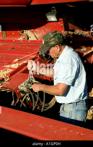 Farmer checking hydraulic connection on International Harvester. Stock Photo