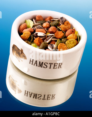 HAMSTER FOOD Stock Photo
