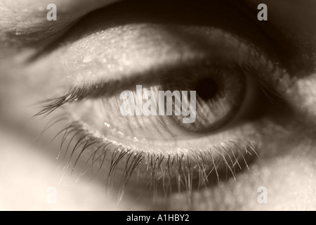 A woman's eye close up Stock Photo