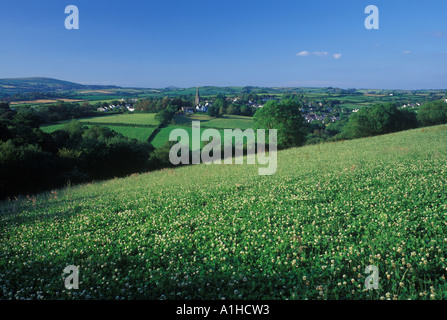 View towards Modbury village South Devon England UK Stock Photo