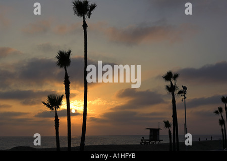 Sunset on Newport Beach Southern California with silhouetted palm trees and lifeguard hut Stock Photo