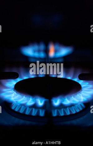 CLOSE UP OF BLUE FLAMES BURNING ON TWO GAS COOKER HOBS Stock Photo