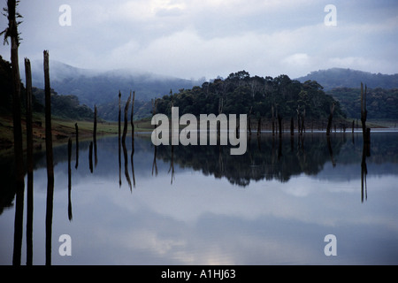 Periyar Wildlife Sanctuary near Thekkady Kerala Southern India Stock Photo