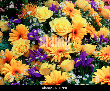 bouquet of flowers Stock Photo