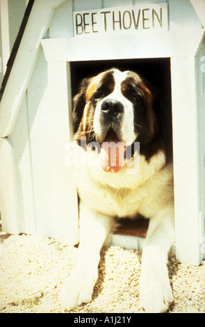 Beethoven Year 1992 Director Brian Levant Stock Photo